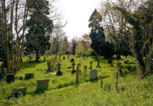 Churchyard Photo