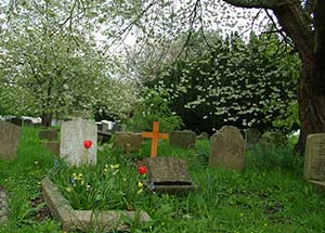 Graves1